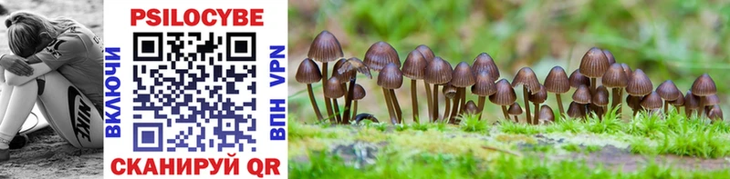 Псилоцибиновые грибы MAGIC MUSHROOMS  гидра tor  Бронницы 